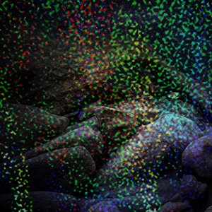 SLEEKpro Milkyway (C) Holographic Cast Film 12.6" x 490' x 1" Core A/I